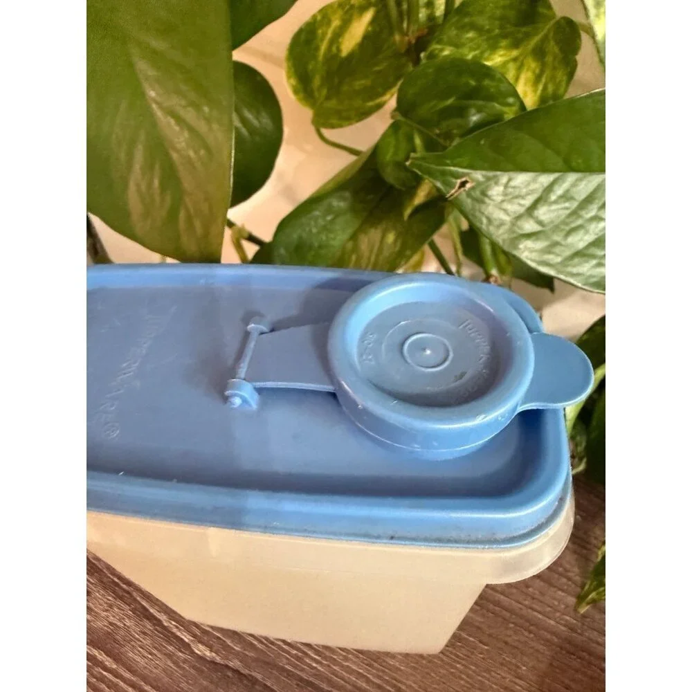 Vintage Tupperware blue lid
